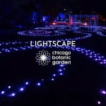 Lightscape at Chicago Botanic Garden