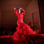We call it Flamenco: Een sensationele Spaanse dansshow