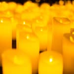 Candlelight: The World of Joe Hisaishi