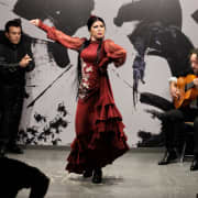 ﻿Flamenco show at the foot of the Giralda