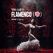 We Call it Flamenco: Eine einzigartige spanische Tanzshow