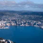 Wellington Shore Excursion City Sightseeing Tour
