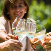 Crucero en catamarán + visita a bodega  + cata de vinos
