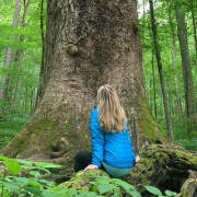 Forest Bathing & Nature Therapy Walk