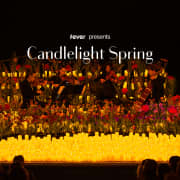 Candlelight Spring: Coldplay vs. Ed Sheeran