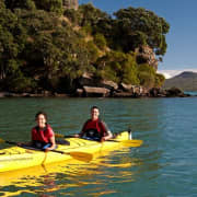 Motukorea / Browns Island Sea Kayak Journey