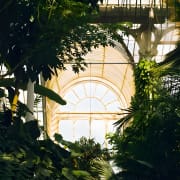 ﻿Kew Gardens, Richmond - Visita audioguiada