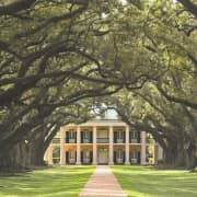 Oak Alley Plantation: Tour from New Orleans