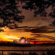 Sunset Sydney and Night Photography Tour with Pro Photographer