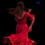 ﻿Flamenco show at El Palacio Andaluz