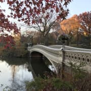 ﻿Búsqueda del tesoro en Nueva York: Aventura en Central Park