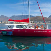 1- Hour Catamaran Cruise Cape Town