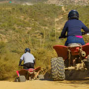 Guided Arizona Desert Tour by ATV
