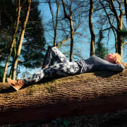 Half-day Forest Bathing and Yoga in Brighton's Woodlands