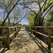 Parque nacional de Doñana y el Rocío: excursión desde Sevilla