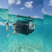 Snorkeling Tour - Ship Wreck & Coral Reef