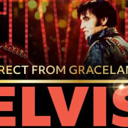 ﻿Entrada de Elvis directamente desde Graceland