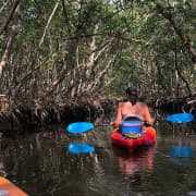 Mangrove Tunnels Pedal Kayak Eco-Tour in Anna Maria