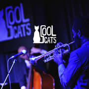 Live Music at Cool Cats: Tuesday The Blues Revue