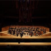 LLS Orchestra: Adams & Sibelius