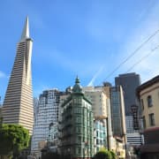 Make the Most of SF in One Day: Small Group Walking Tour w Cable Car Option