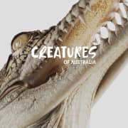 Creatures of Australia: Experience it's unique wildlife like never before