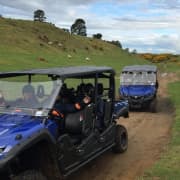 Off-Road 4WD Buggy Adventure from Rotorua
