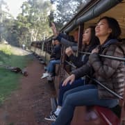 ﻿the 2 day Puffing Billy Steam Train and Wildlife Tour from Melbourne