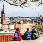 Stockholm Private Custom Tour with a Local Guide, Highlights & Hidden Gems 