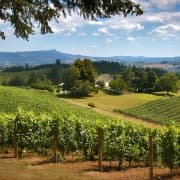 Willamette Valley Wine Tasting Tour from Portland