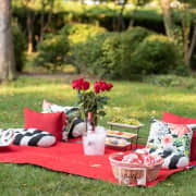 Private Picnic Experience in the Queen City