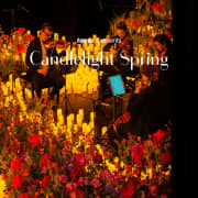 Candlelight Spring: 夢と魔法の世界のメロディー at 大槻能楽堂