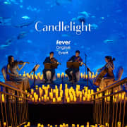 Candlelight: A Tribute to Oasis at Sea Life Aquarium