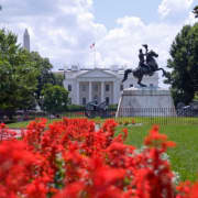 Washington, D.C. Highlights: Guided Bus Tour