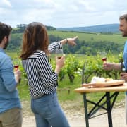 Full-Day North Burgundy and Chablis Wine Tasting Tour from Paris