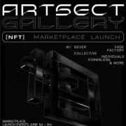 Artsect Brain Experience