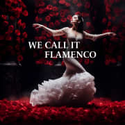 We call It Flamenco: a unique Spanish dance show