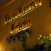 ﻿Flamenco Show at the Tablao Flamenco Marbella