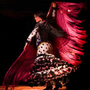 ﻿Show at Tablao Flamenco 1911 + 2 Welcome Drinks