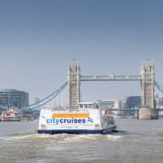 River Thames Sightseeing Cruise - One Way