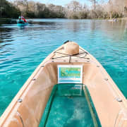 ﻿Excursión en kayak con fondo de cristal por Silver Springs!