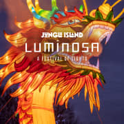 Luminosa: A Festival of Lights