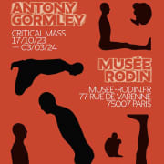 Expositon Antony Gormley - Critical Mass + Musée Rodin
