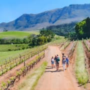 Constantia Wine Walk Storytelling Vineyard Tour with Lunch