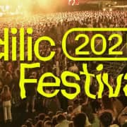 Idilic Festival 2024