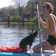 ﻿Remar con Pups in Paradise - Paddleboard o Kayak
