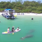 Private Siesta Funship Adventure/Dolphin Cruise Sandbar Stops 