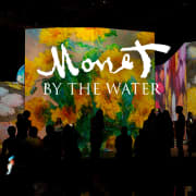Monet by The Water - Santiago