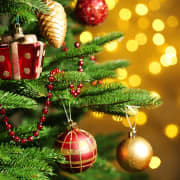 Natal e festas de Passagem de Ano 2023 - Lista de espera