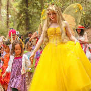 A Faery Hunt: A Live Interactive Children’s Show